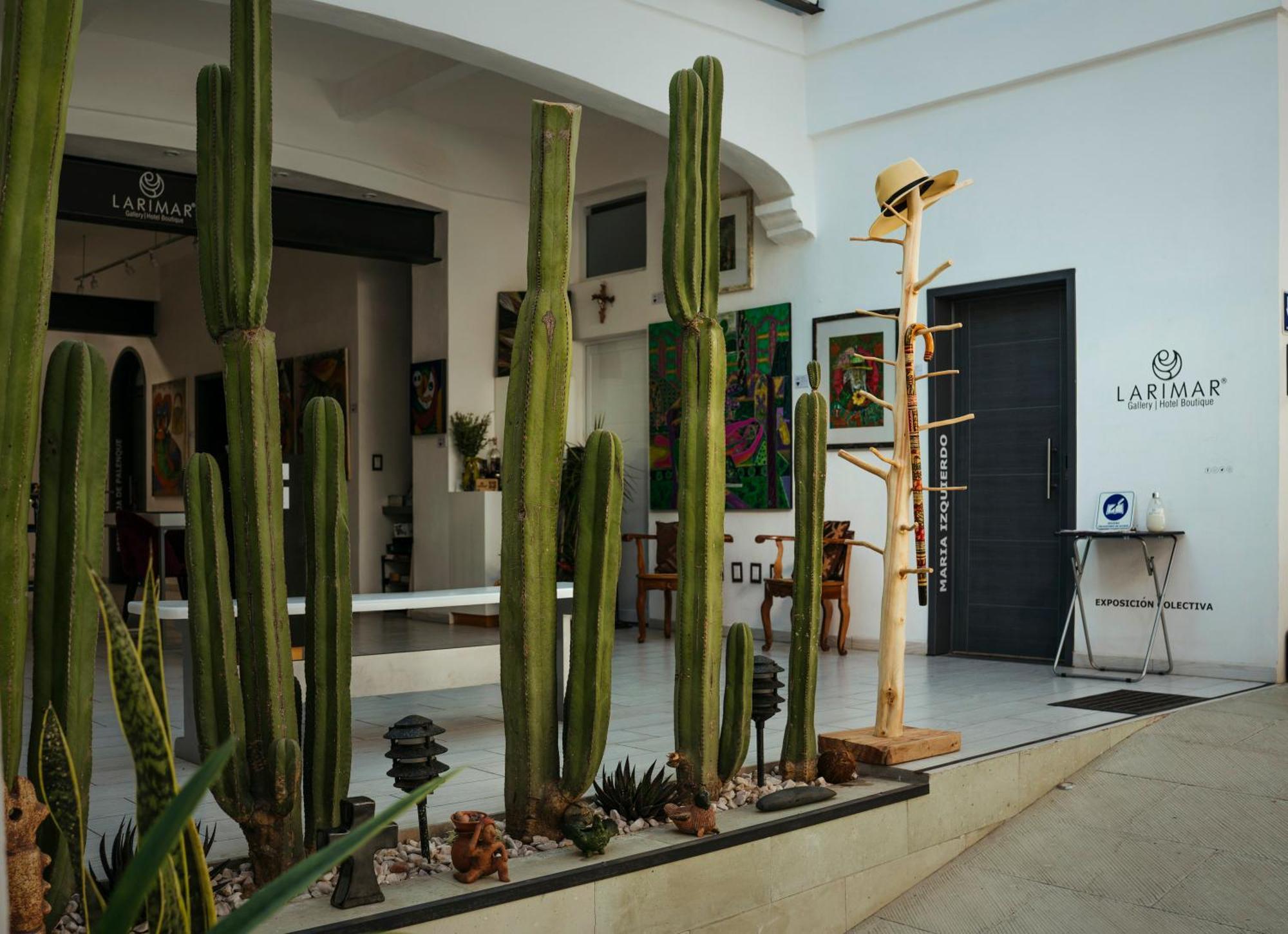 Larimar Gallery Y Hotel Boutique Oaxaca Exterior photo